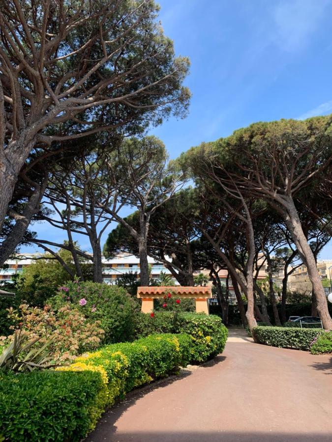Hotel Beau Rivage Le Lavandou Eksteriør billede