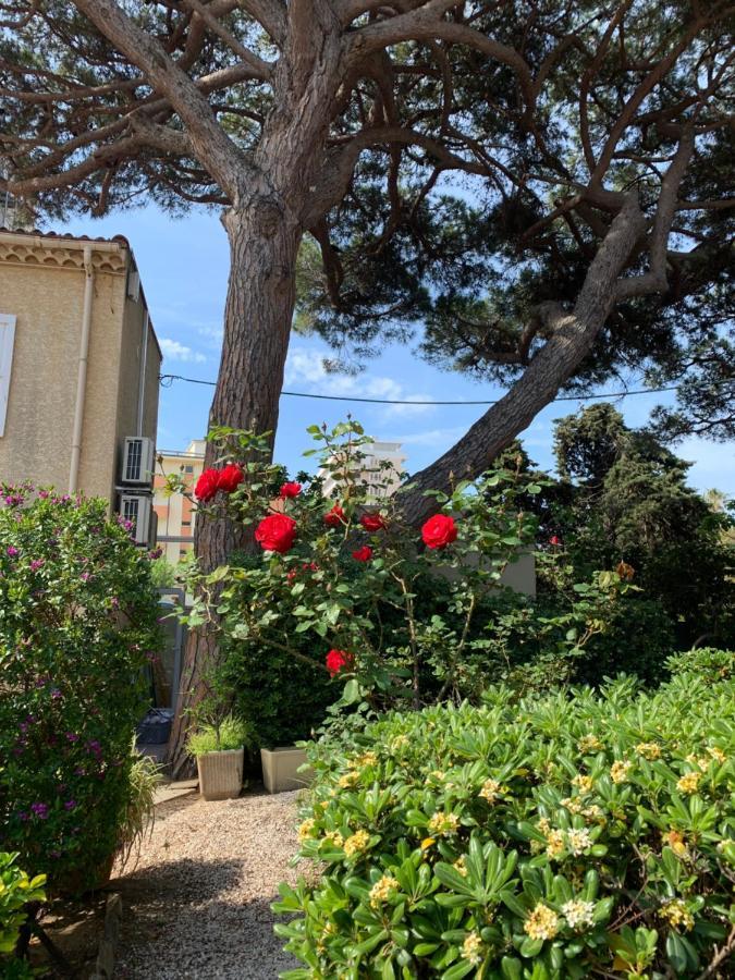 Hotel Beau Rivage Le Lavandou Eksteriør billede